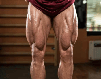 24 Muscle Facts for Kids, Students and Teachers