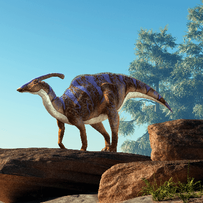 accurate parasaurolophus