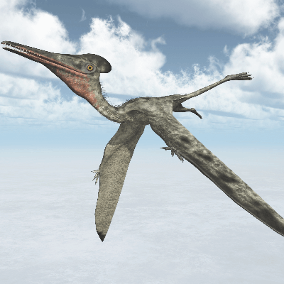 Pterodactyl Facts Facts Just For Kids