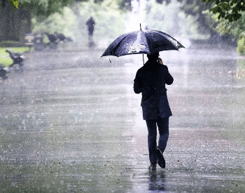 19 Rain Facts for Kids and Students. Learn About Rain